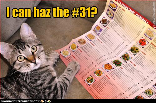 6794f_funny-pictures-cat-orders-combo-number-thirty-one.jpg